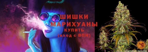 молекула духа Арсеньев