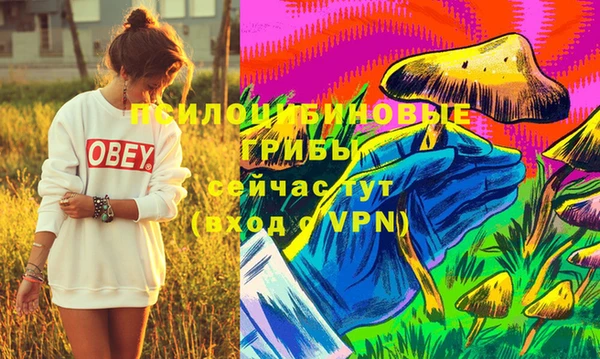 МДПВ Аркадак
