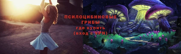 МДПВ Аркадак