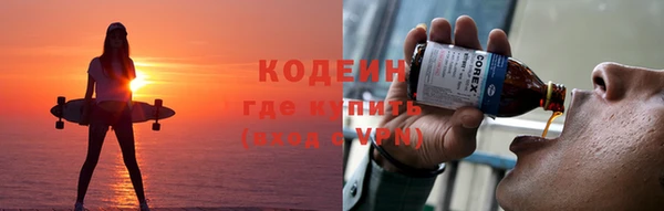 молекула духа Арсеньев