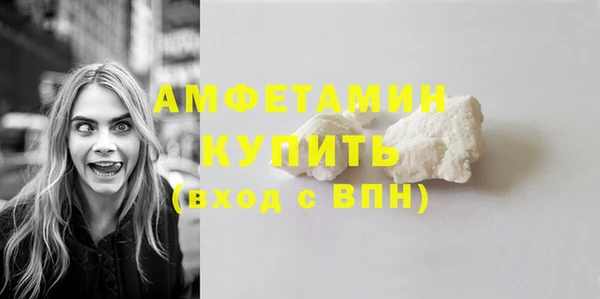 молекула духа Арсеньев