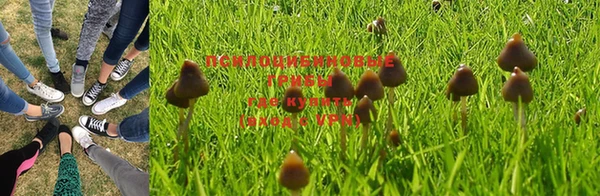 МДПВ Аркадак