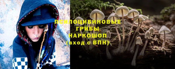 молекула духа Арсеньев