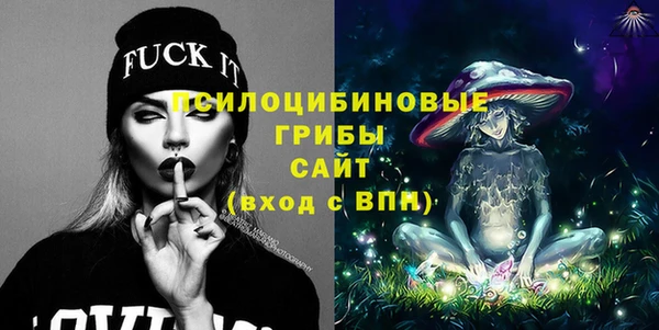 молекула духа Арсеньев