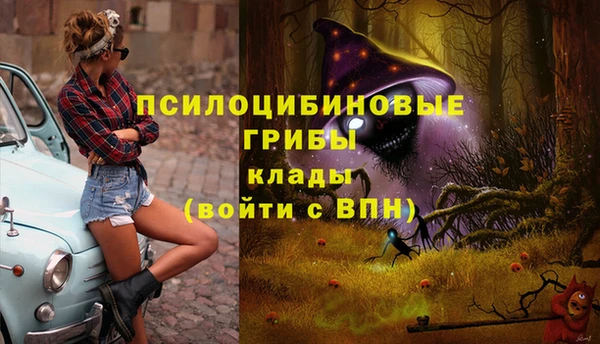 МДПВ Аркадак